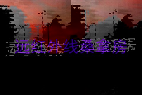 远红外线桑拿房