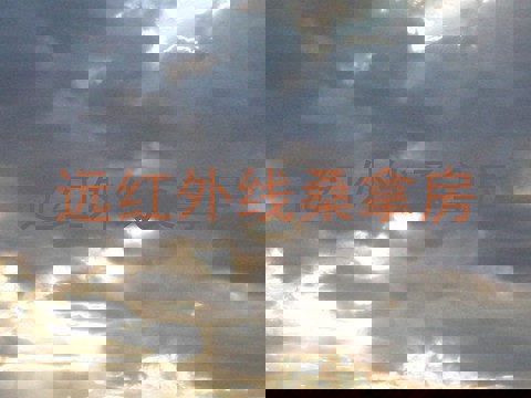 远红外线桑拿房