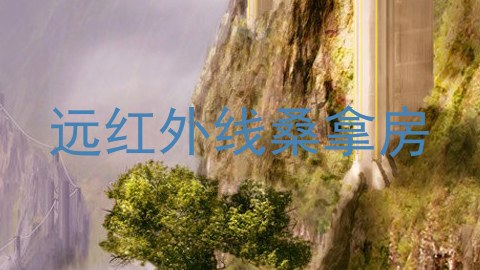 远红外线桑拿房