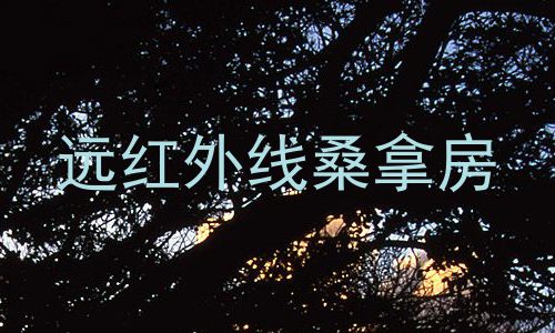 远红外线桑拿房