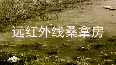 远红外线桑拿房