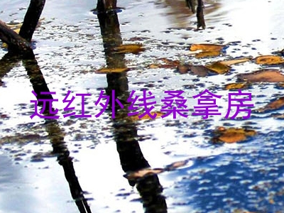 远红外线桑拿房