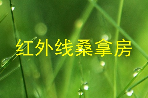 红外线桑拿房