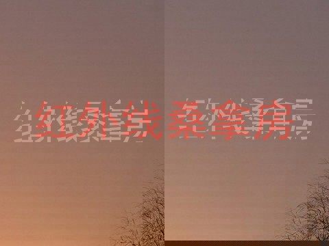 红外线桑拿房