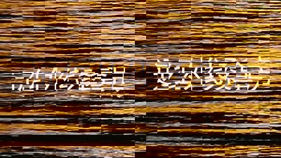 远红外线桑拿房