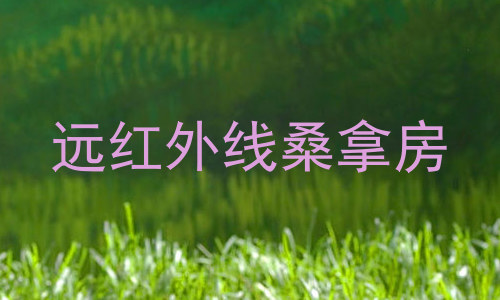 远红外线桑拿房