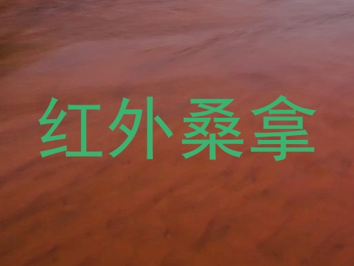 红外桑拿