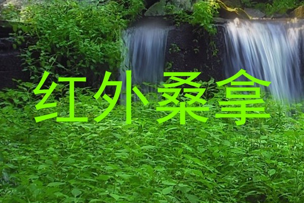 红外桑拿