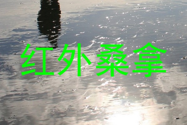 红外桑拿
