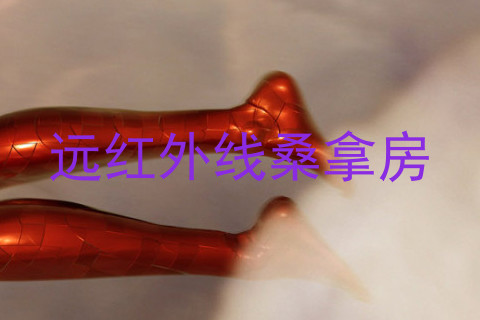 远红外线桑拿房