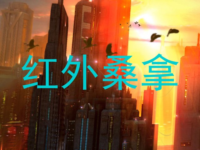 红外桑拿