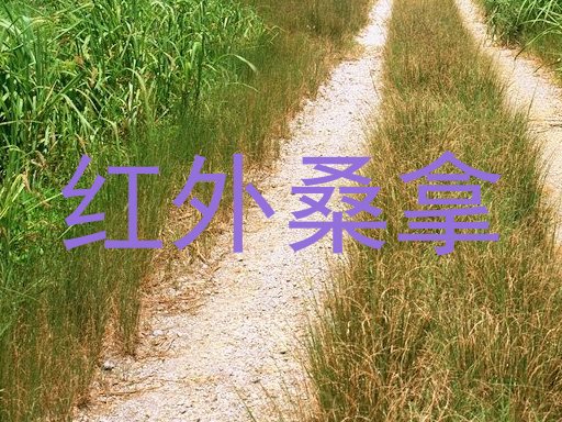 红外桑拿