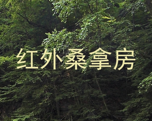 红外桑拿房