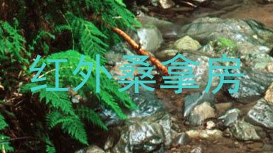 红外桑拿房