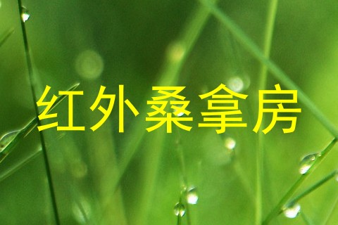 红外桑拿房