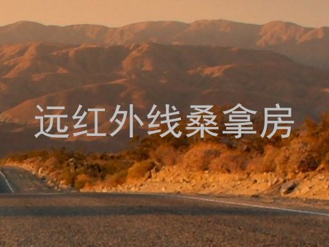 远红外线桑拿房