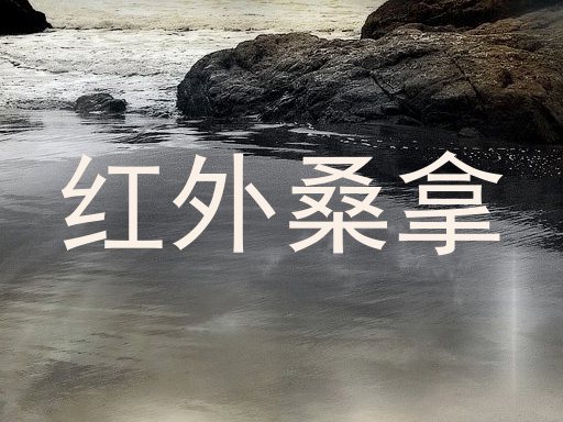 红外桑拿