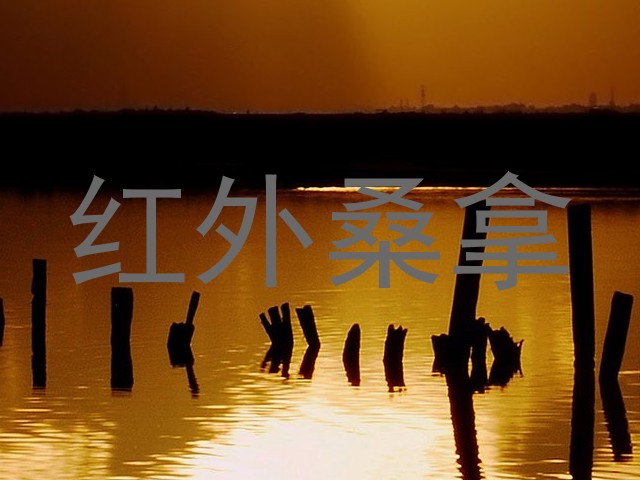 红外桑拿