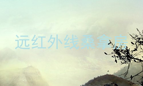 远红外线桑拿房