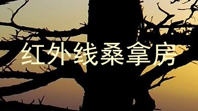 红外线桑拿房