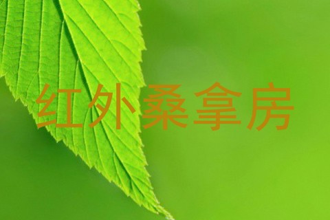 红外桑拿房