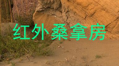 红外桑拿房