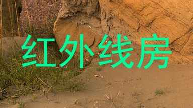 红外线房