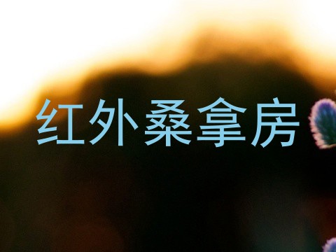 红外桑拿房