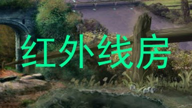 红外线房