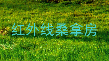 红外线桑拿房