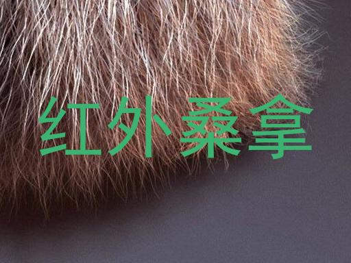 红外桑拿