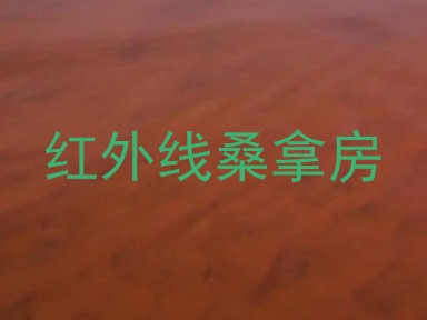 红外线桑拿房