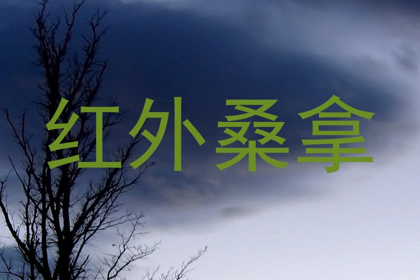 红外桑拿