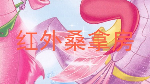 红外桑拿房