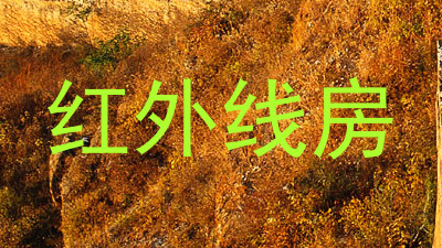红外线房