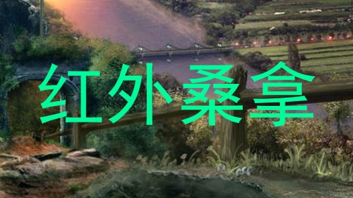 红外桑拿