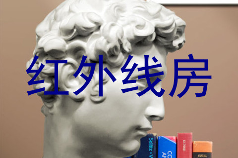 红外线房
