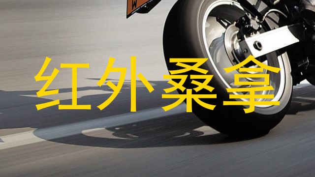 红外桑拿