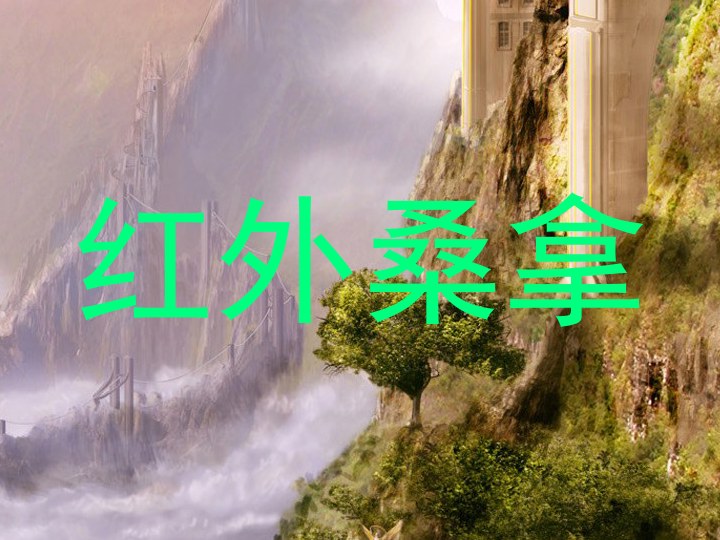 红外桑拿
