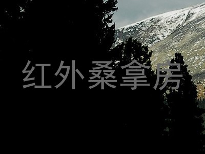 红外桑拿房