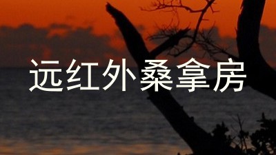 远红外桑拿房