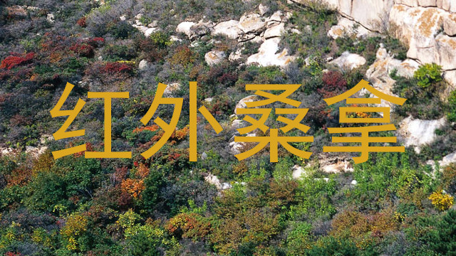 红外桑拿