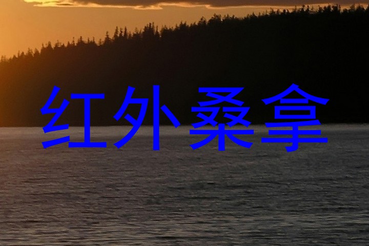 红外桑拿