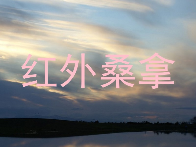 红外桑拿