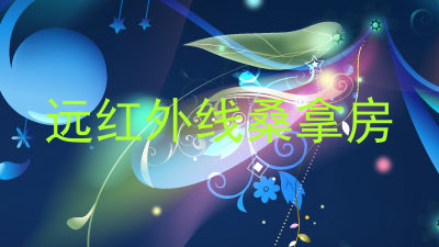 远红外线桑拿房
