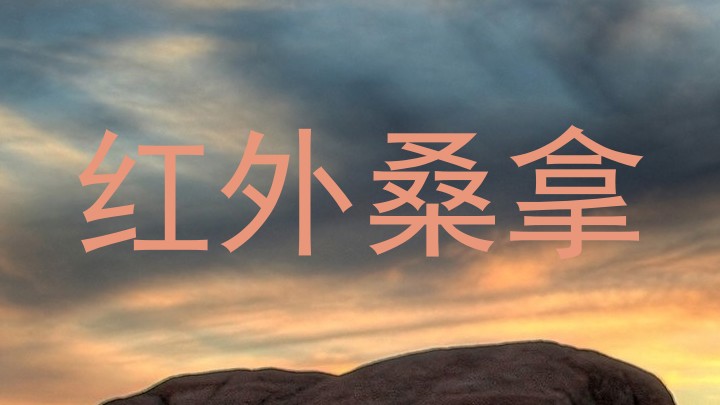 红外桑拿