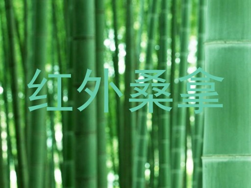红外桑拿
