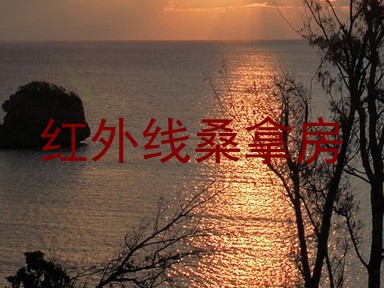 红外线桑拿房