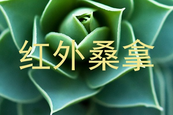 红外桑拿