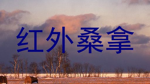 红外桑拿